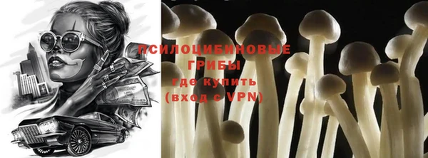 марки lsd Новозыбков