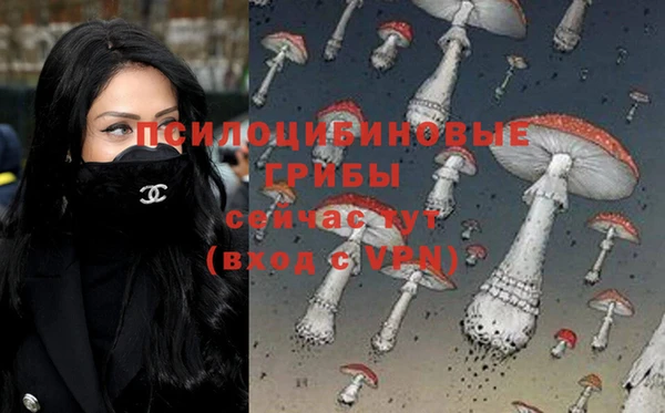 ECSTASY Новокубанск